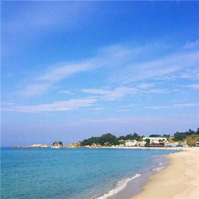 山海经神魔令最新版下载